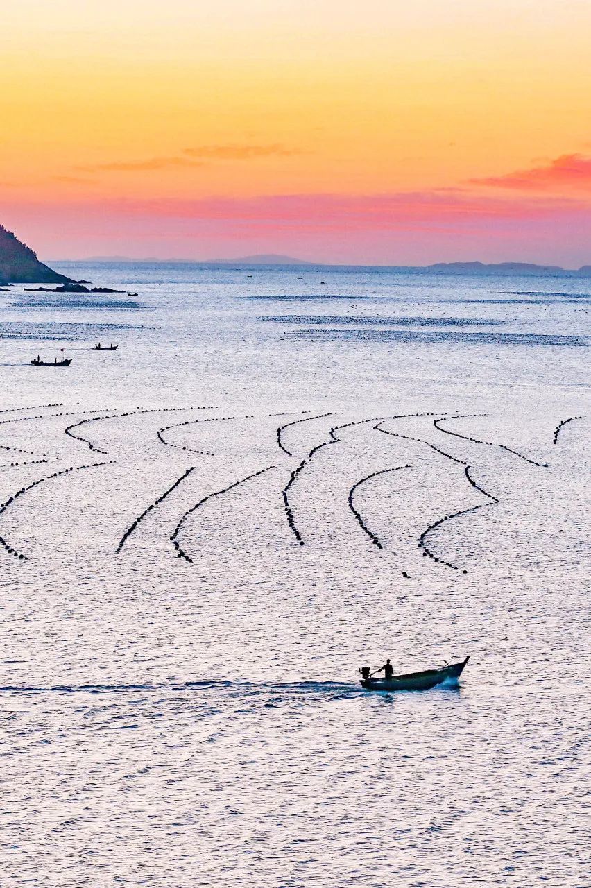 忽然想去旅游了,忽然想去宁波了