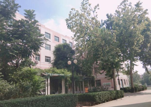 石家庄桥西实验十七中,石家庄市桥西区17中