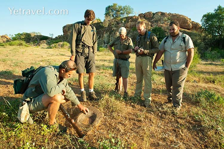 汇率起起伏伏，自然旅行跟着这张表格走，最划算