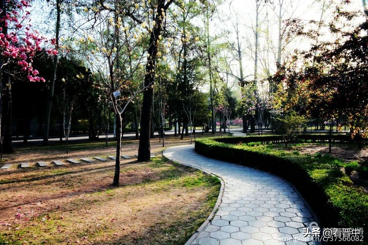 山西农大美丽的校园,山西农大校园风光