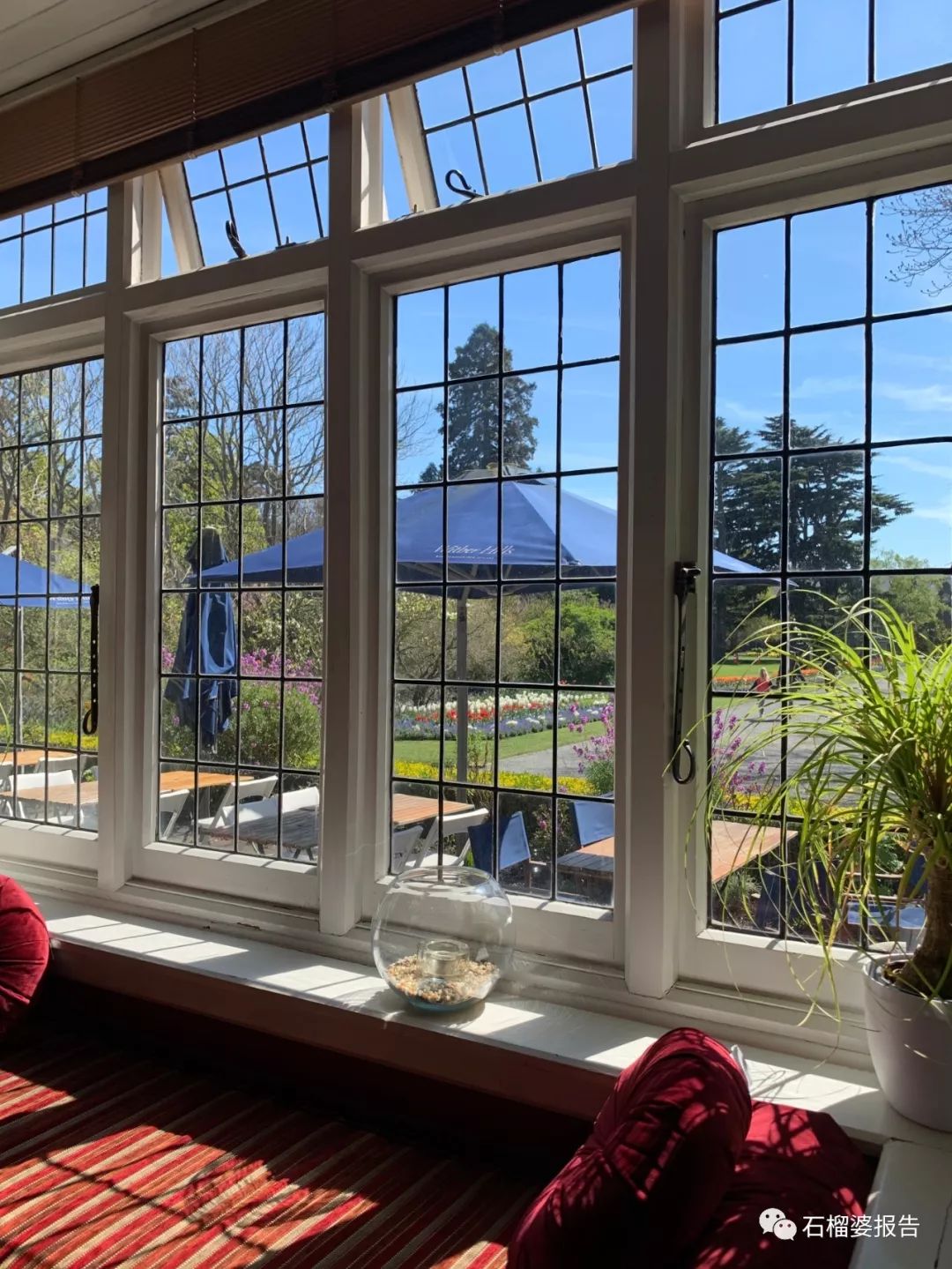 旅行7天,七天游记的视频在线观看全集高清