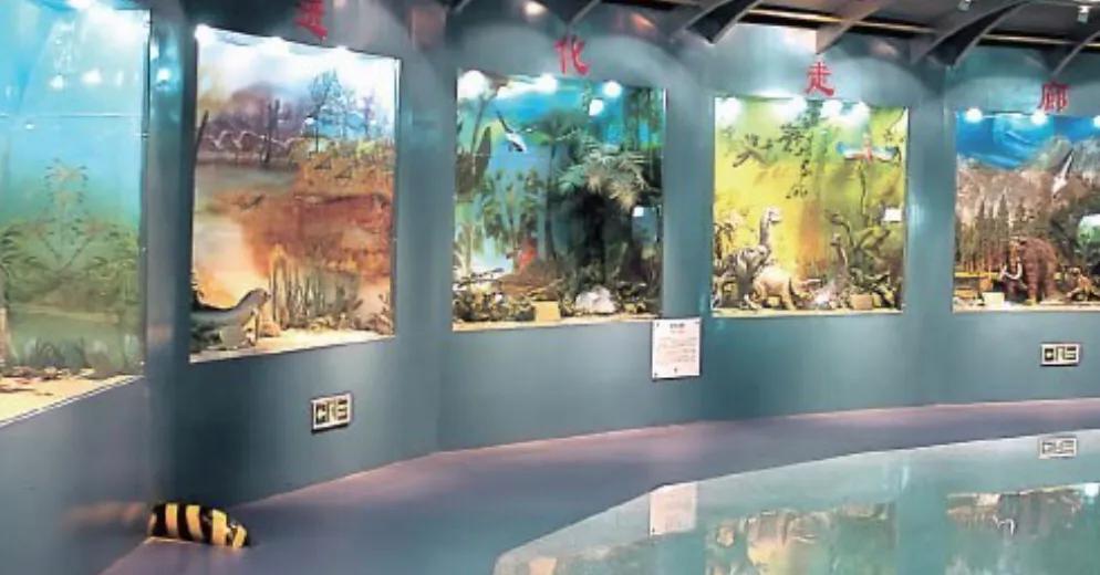 适合深圳室内玩的地方推荐,深圳夏天免费游玩比较凉快的地方