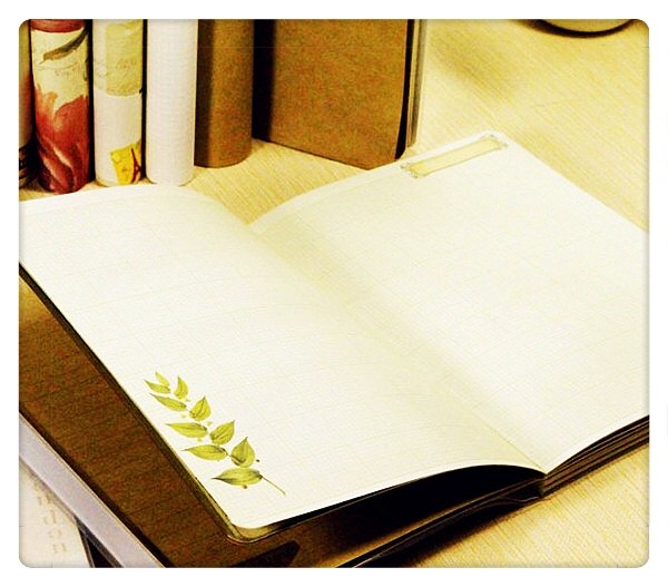 五年级语文上册知识梳理,五年级上册语文第一单元重点知识