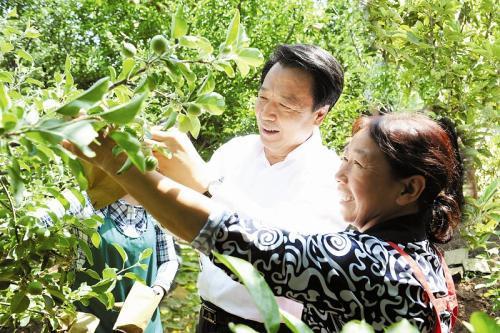 简单阐述家庭农场具有哪些优势,创办家庭农场的必要准备