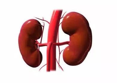 体检发现囊肿和结节,体检中的结节钙化囊肿代表什么