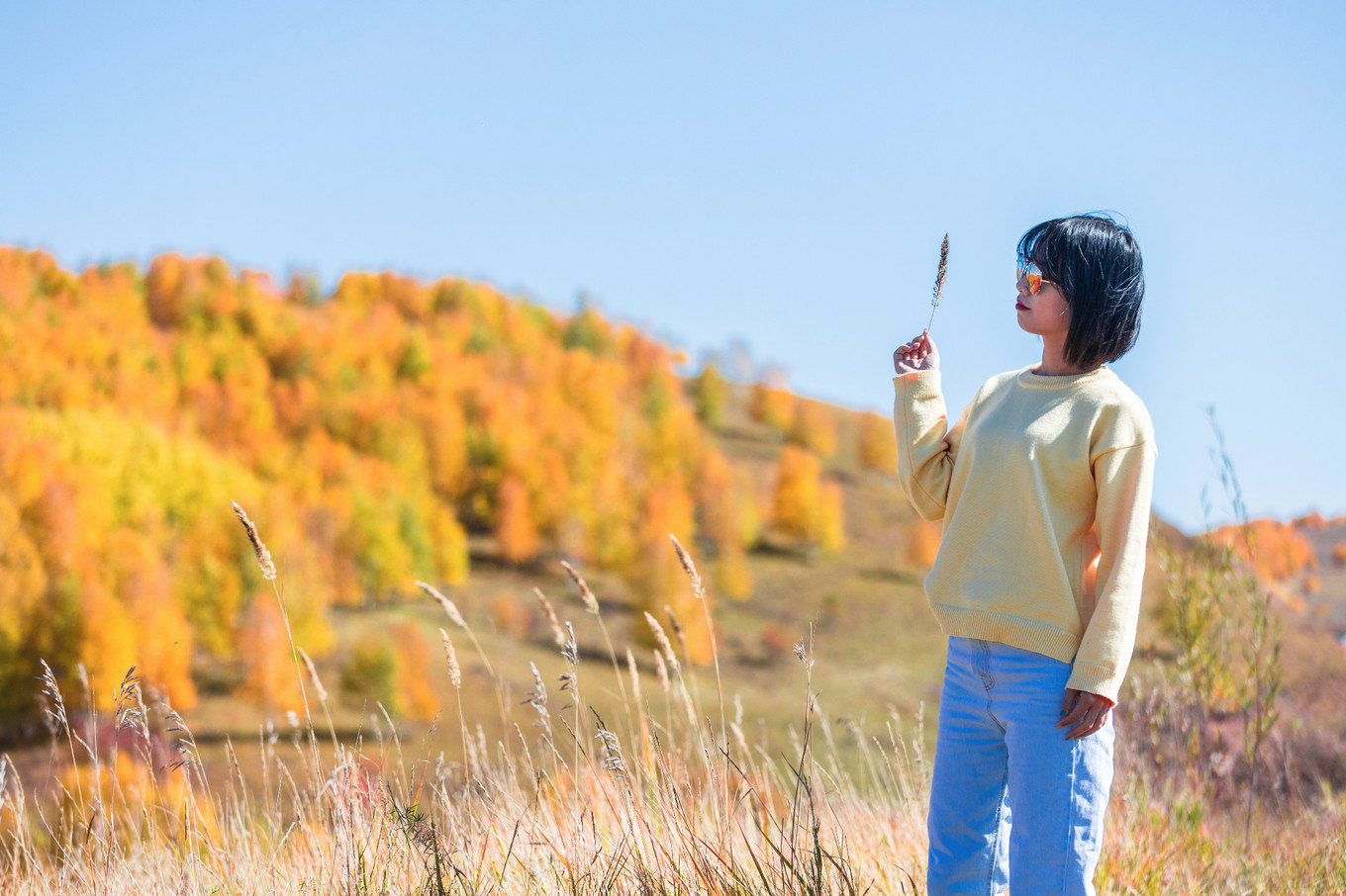 哈尔滨满洲里自驾路线,哈尔滨满洲里自驾视频
