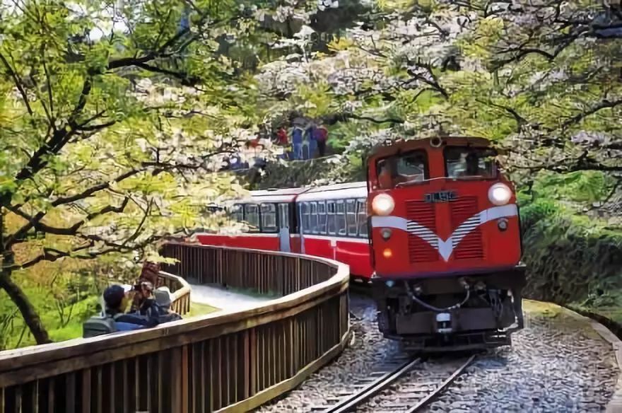 太美了开往春天的列车,这些开往春天的列车简直美呆了