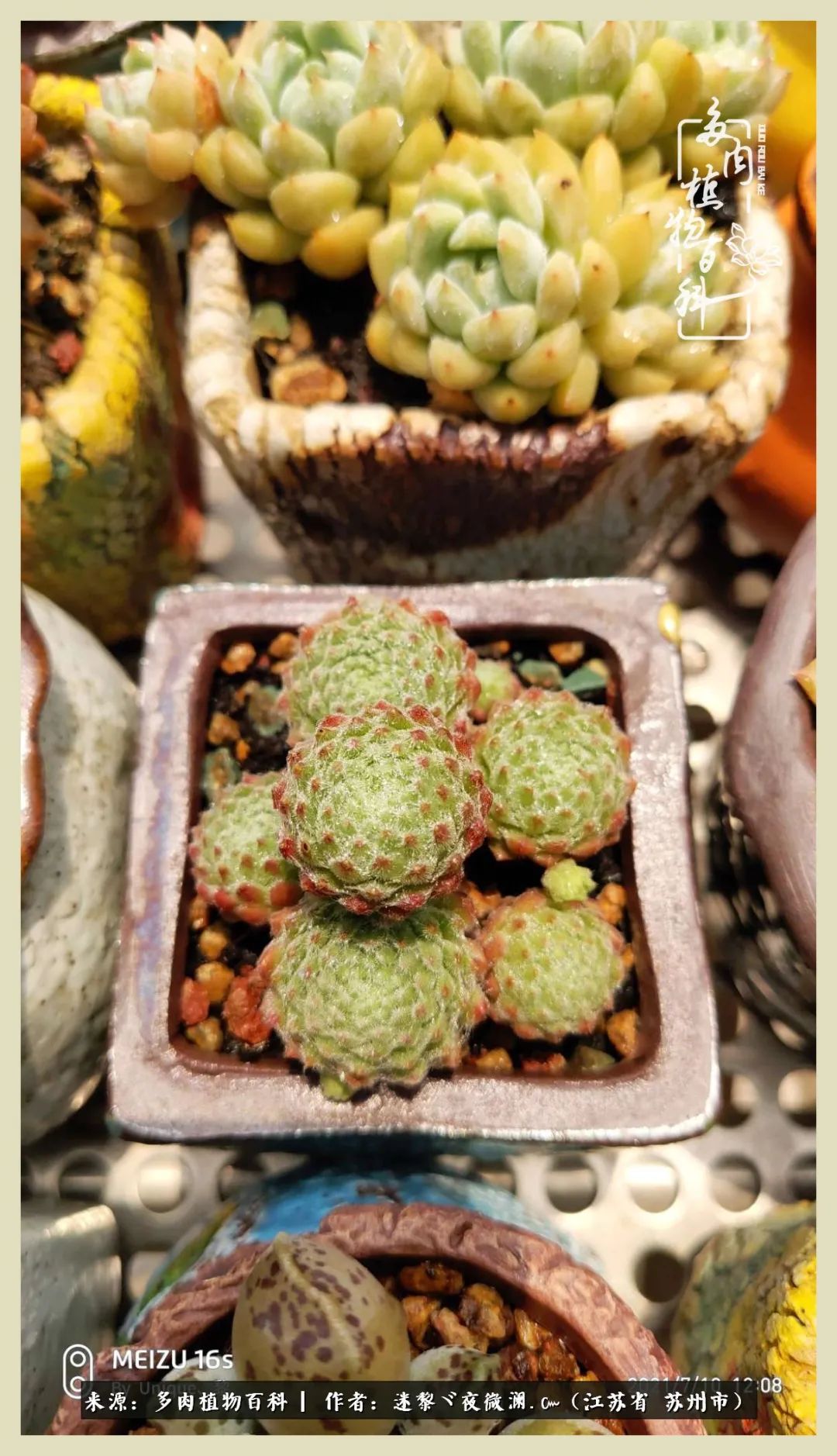 秋尽冬来岁月不居时节如流,岁月不居时节如流水