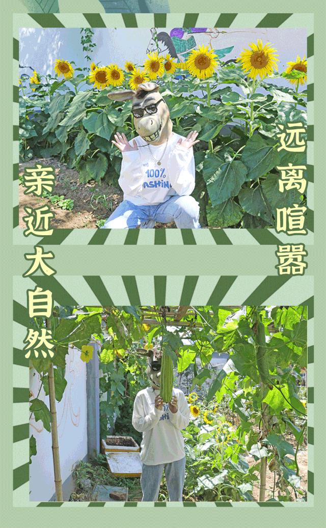 秋冬来袭!来碗养生汤!吃着鸽子喝着汤!请客有面子就到鸽子王