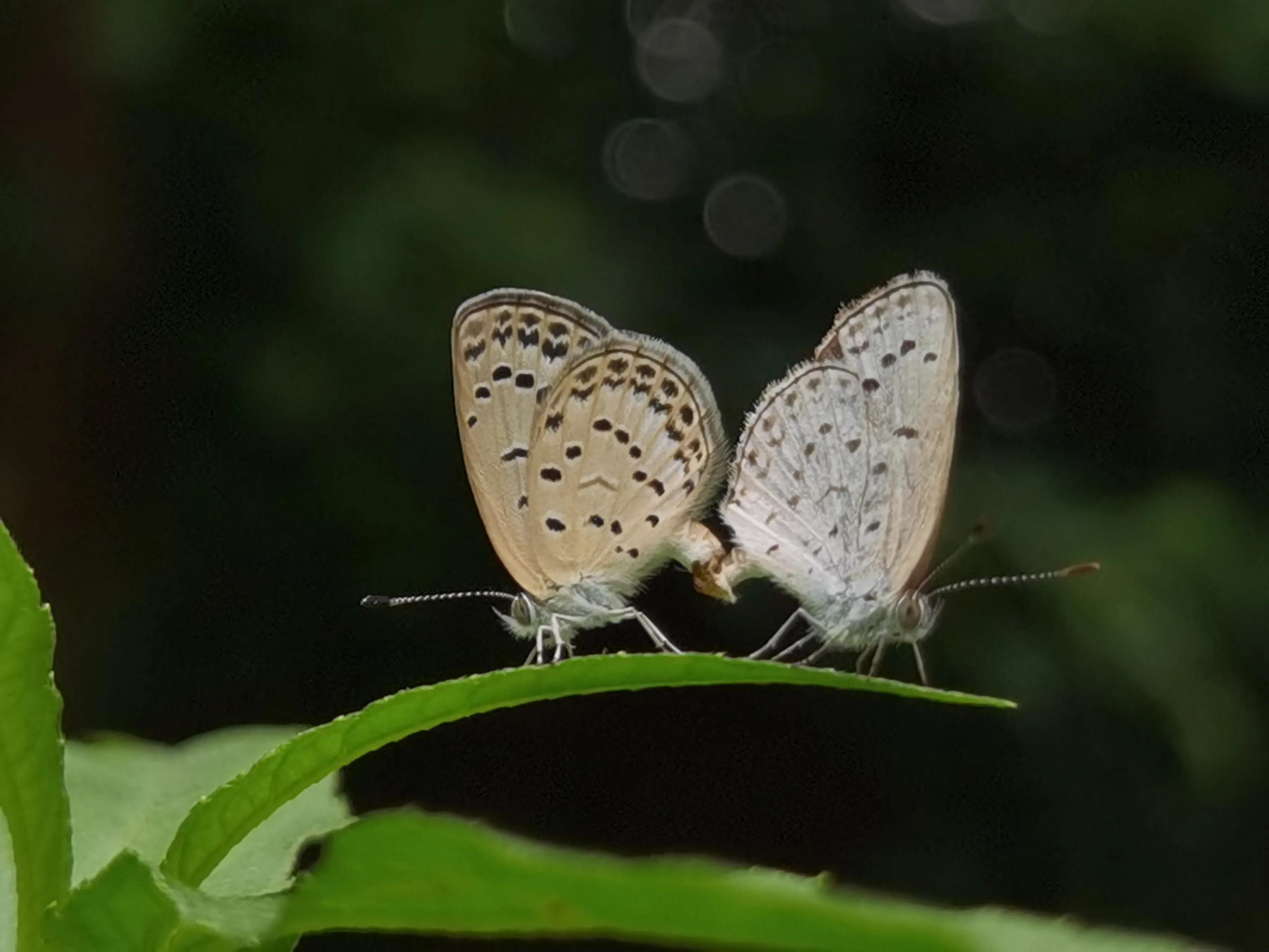 手拍世界投稿,手拍世界作品专集