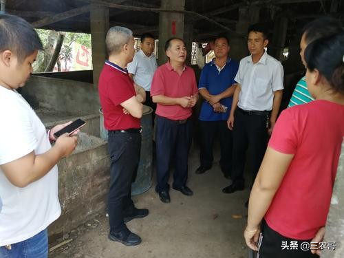 适合农村的小型加工厂创业项目,四川农村有哪些创业项目比较好的