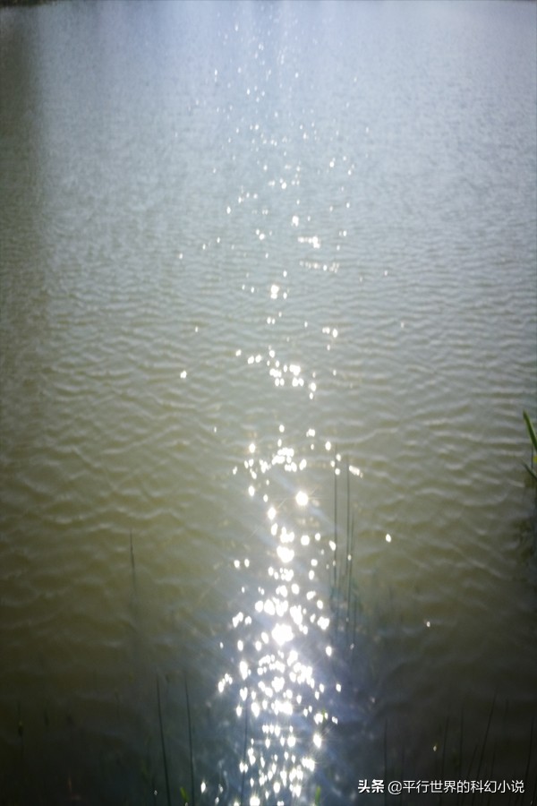 黑暗中,与畜生对话