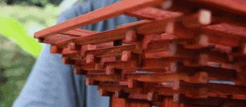 靠锯木头火爆国外，4000w人想当他孙子的大爷，到底有多牛x？