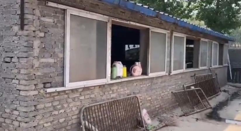 新型母猪保育舍,河北新式母猪保育舍