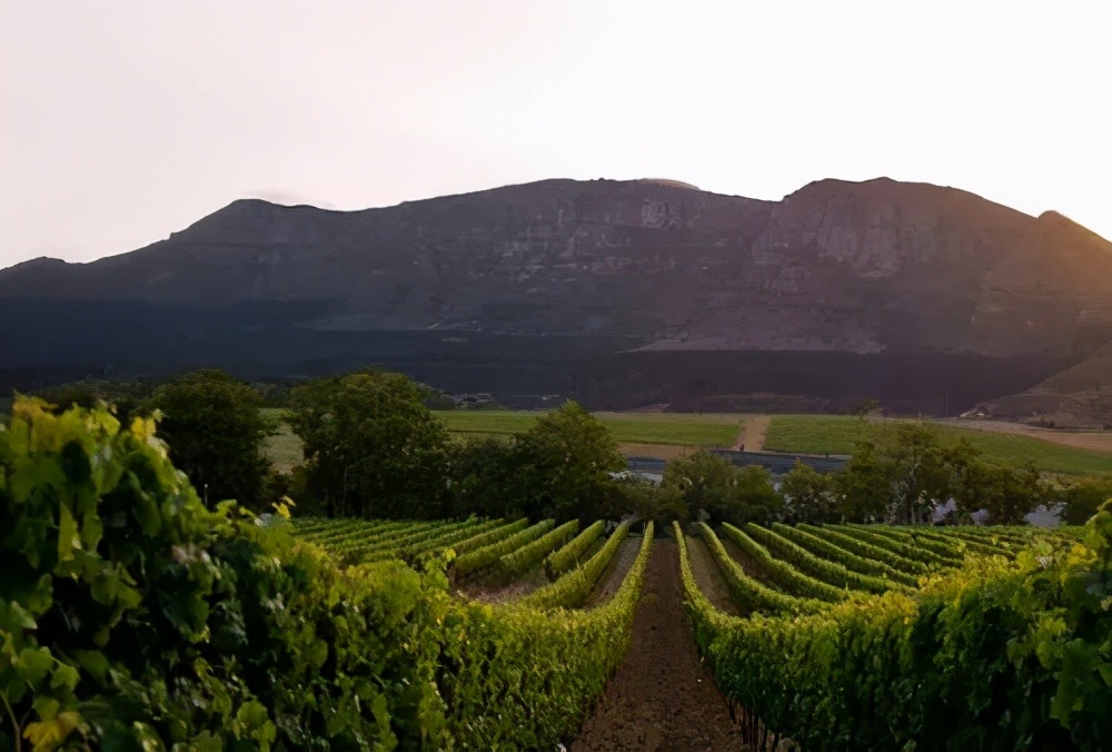 南非葡萄酒产区分布图,南非酒世界
