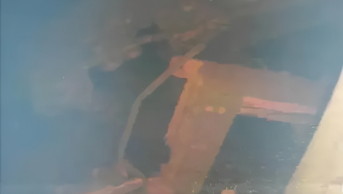 日本核废料对中国海鲜有影响吗,日本福岛核污水影响中国的海鲜吗