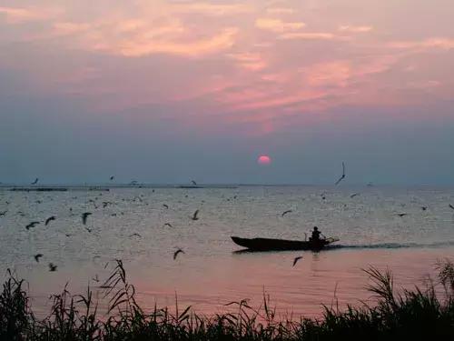 包青天年薪过千万是真的吗?为什么白居易闲得像猫,杜甫累得像狗