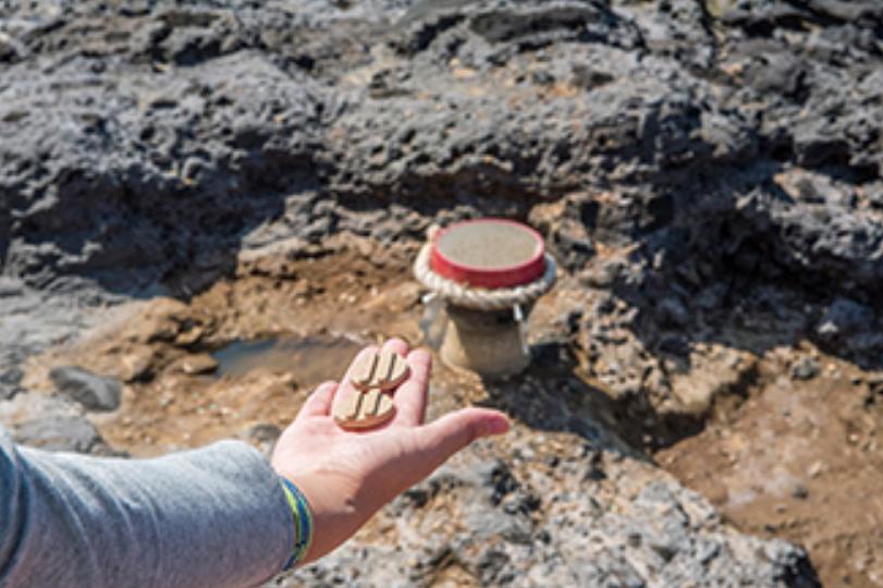 求神能求什么,求神祈福