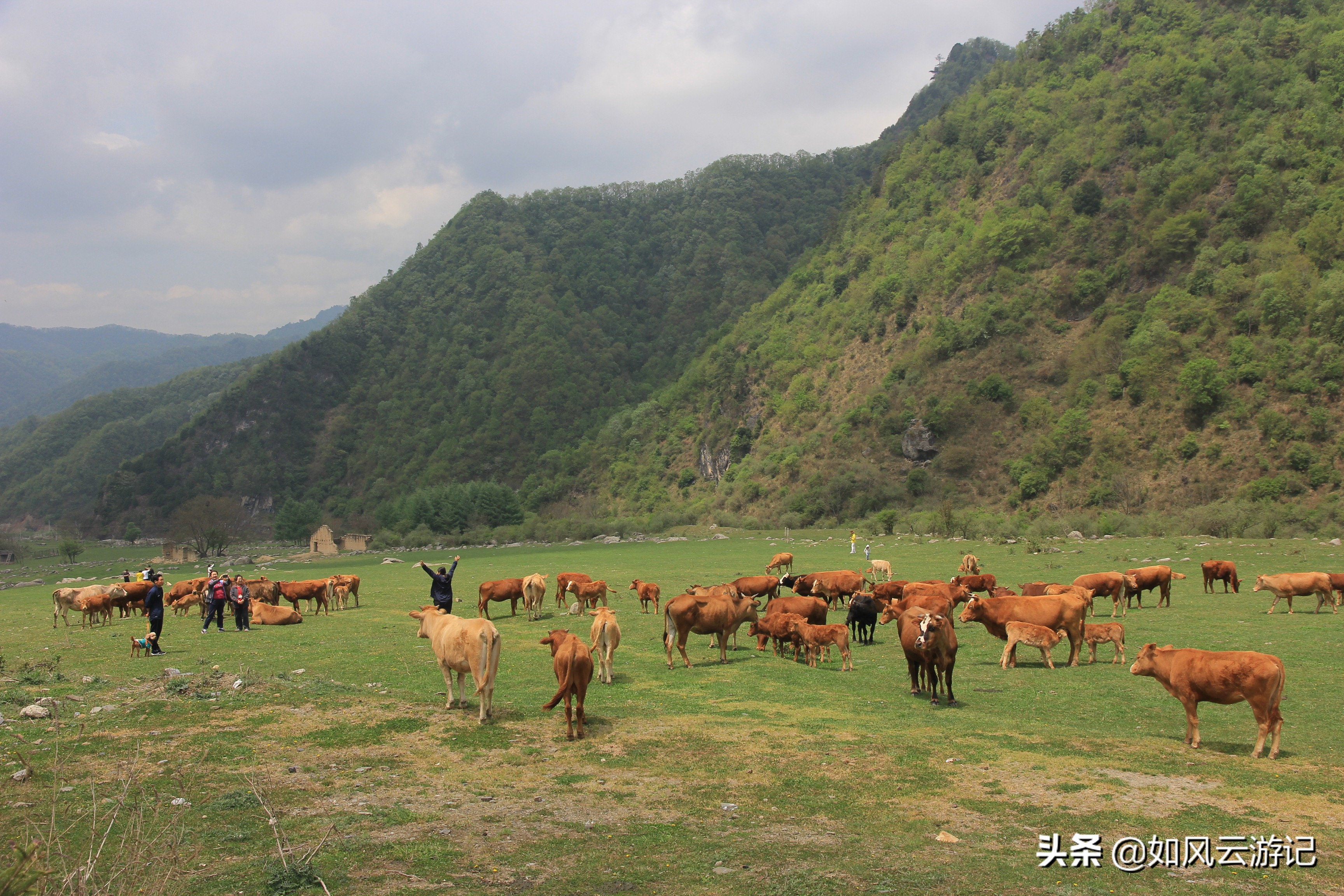 这条连云栈道“弓背线”火烧店—庙台子奇景传说诸多，闺藏深山中