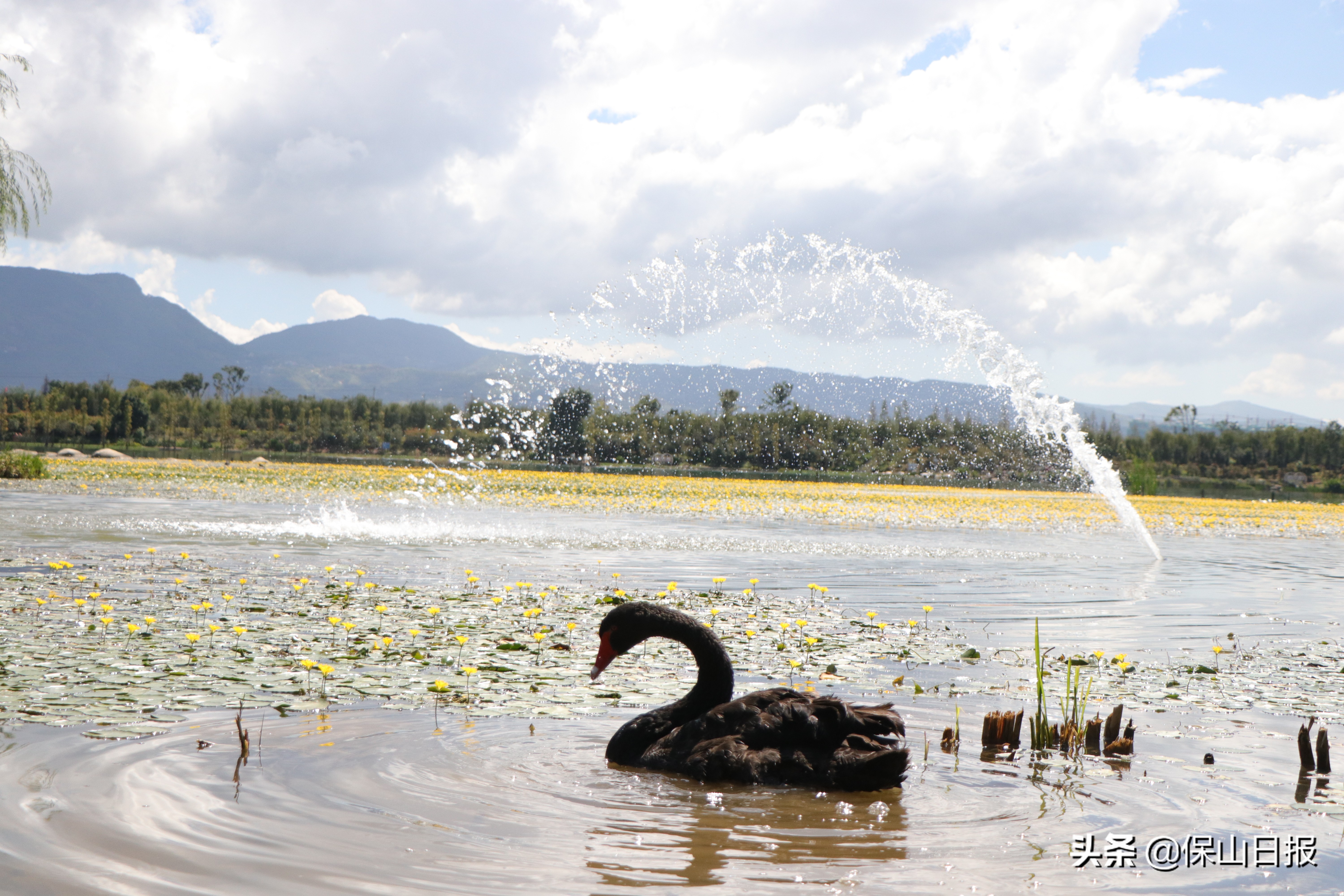 保山：绿水青山牵手“大健康”