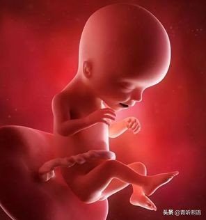 产检时间有什么讲究？医生从胚胎1周到40周成长史来解释原因。