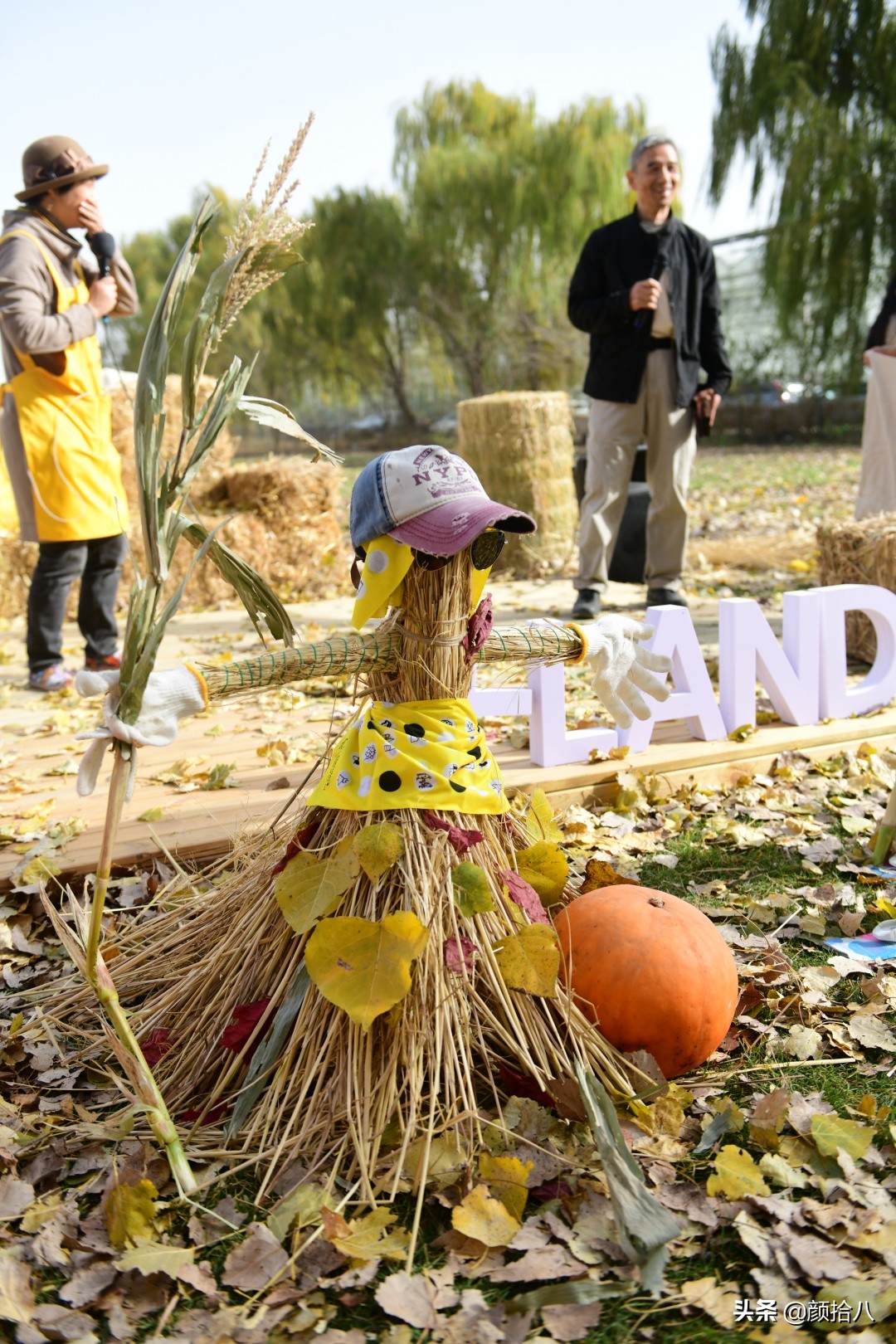 没有比利时花园游，来点比利时啤酒吧|随笔