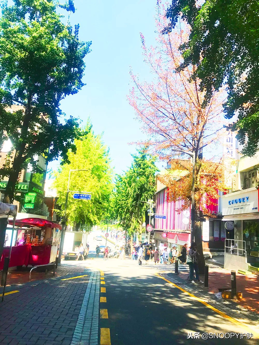 旅行带你去野营,旅行给自己放一个假出去走走吧