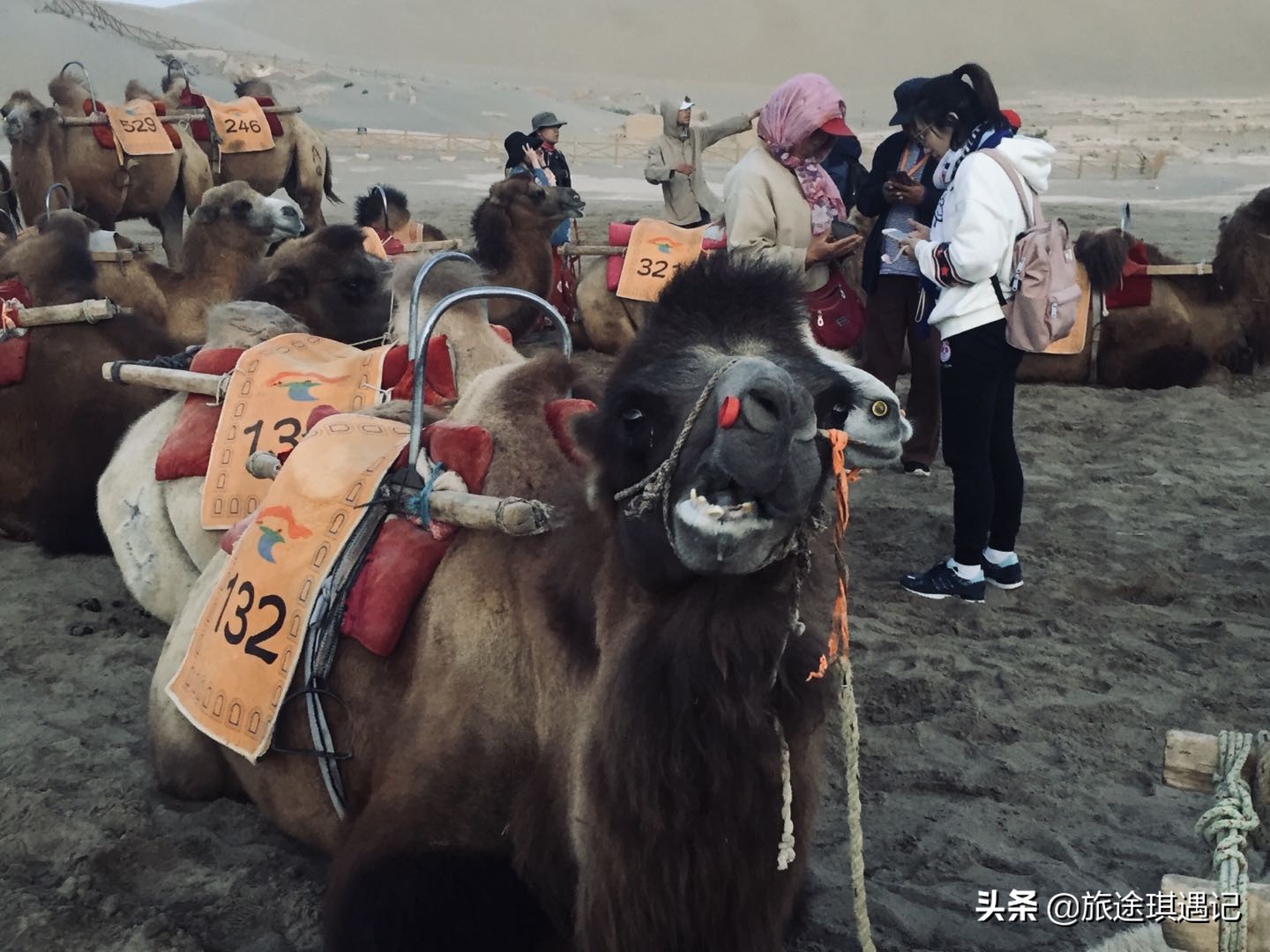 玩遍新疆需要用多少钱多少天,鸣沙山月牙泉游玩项目价格表