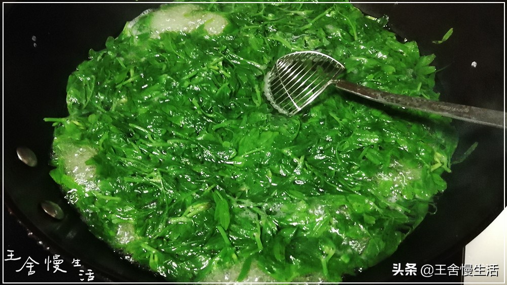 一年四季都可以吃的豌豆尖,野生豌豆尖正确采摘