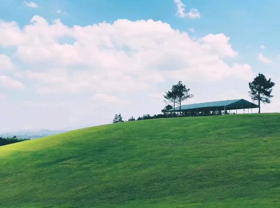 湖州飞鸿滑草场景区介绍及购票入口