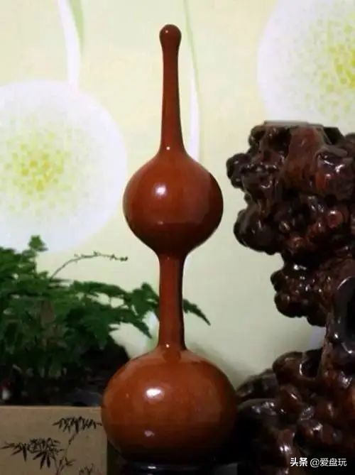 一把葫芦卖到上千上万，连种子都“千金难求”