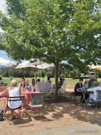 摘果子来摘果子吃啦,墨尔本摘樱桃