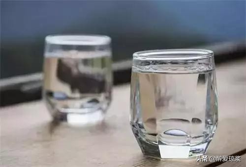 品酒专用术语大全,品酒知识大全图解