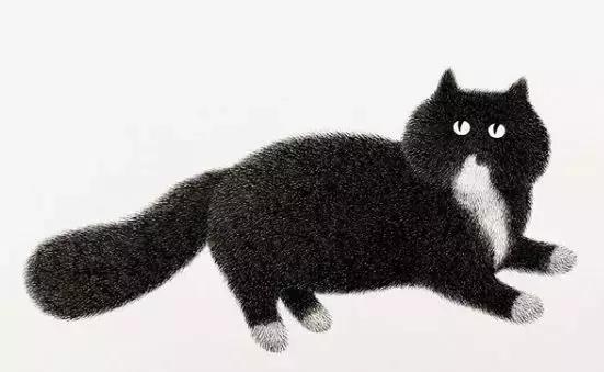 她用2元针管笔作画便惊艳了世界,他用粉笔画了一只猫