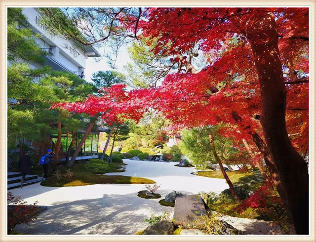 最漂亮的园林景观,100款最美园林设计图