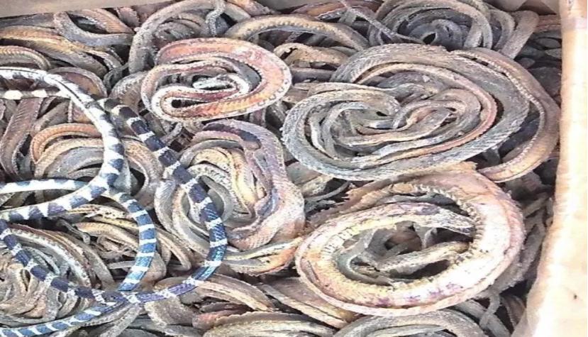 五独合剂，养殖必备，久病难治专用药