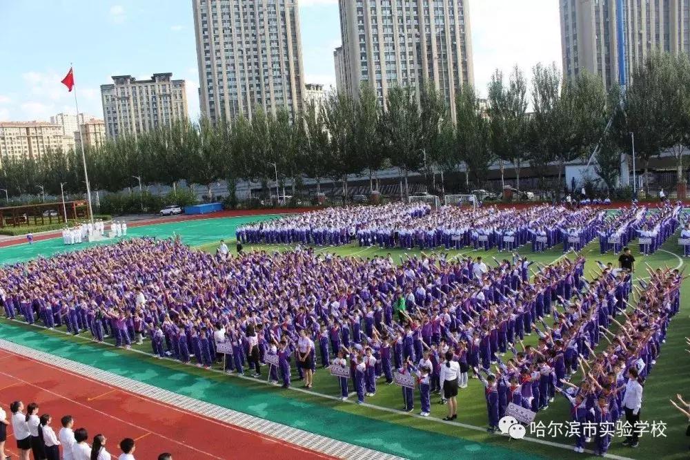 新区好学校,新区好的小学