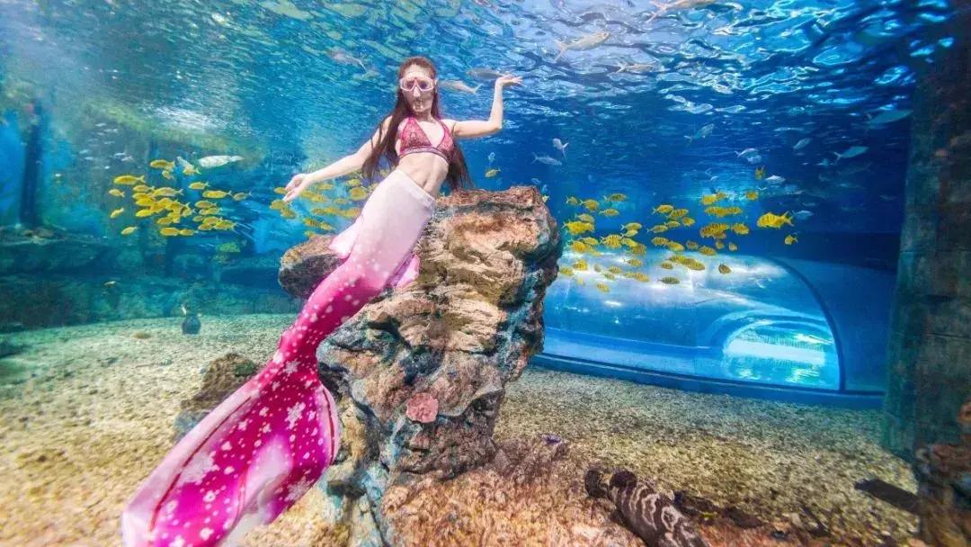 天津欢乐谷玛雅水公园游玩攻略,玛雅海滩水乐园天津欢乐谷