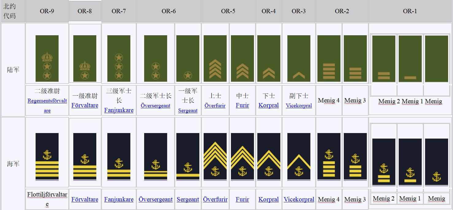 瑞典王国军力展示,瑞典王国士兵