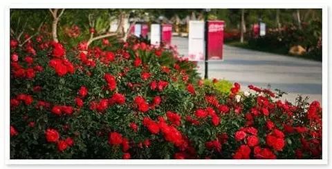 上海最低调的富豪家族,上海的隐藏富豪住在哪里