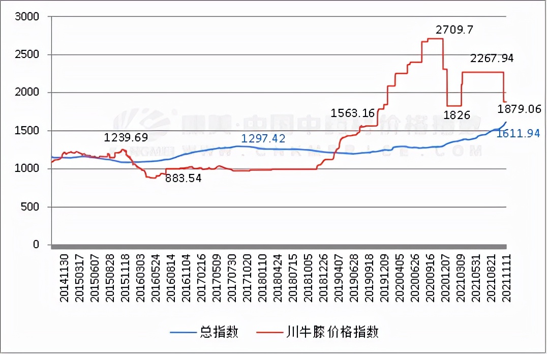川牛膝后市分析,2023年川牛膝行情分析