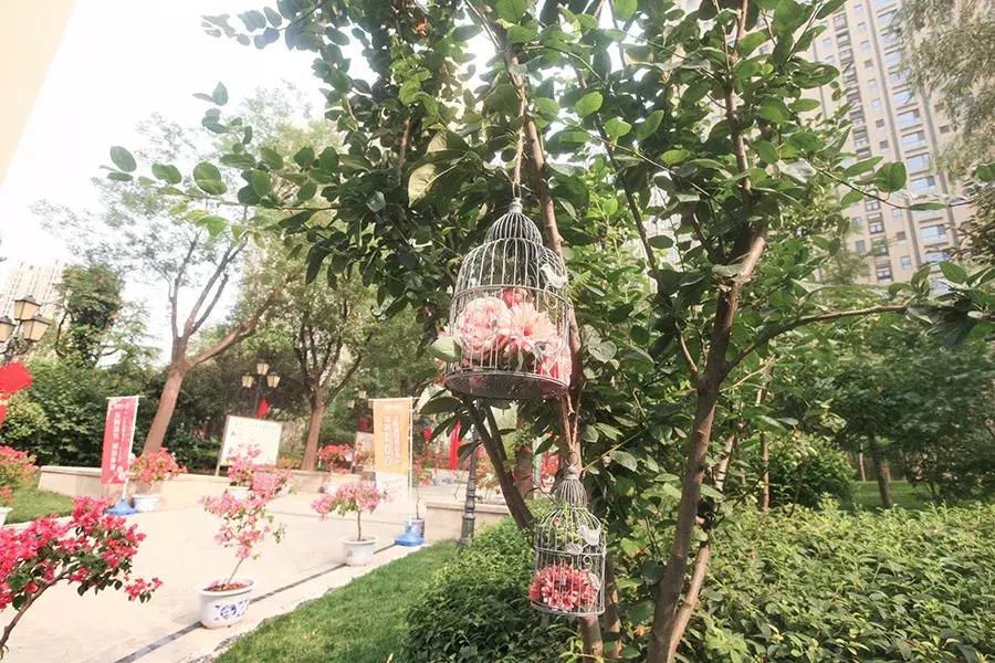 五洲观澜四期最新消息,运城五洲观澜最新消息