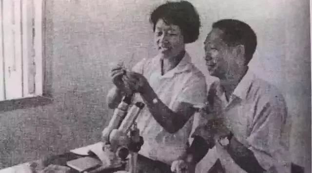 “闪婚”英语怎么说?跟flash闪电有关吗?