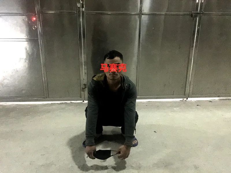 男子偷蜂蜜被拘留下集,男子深夜偷蜂蜜被抓