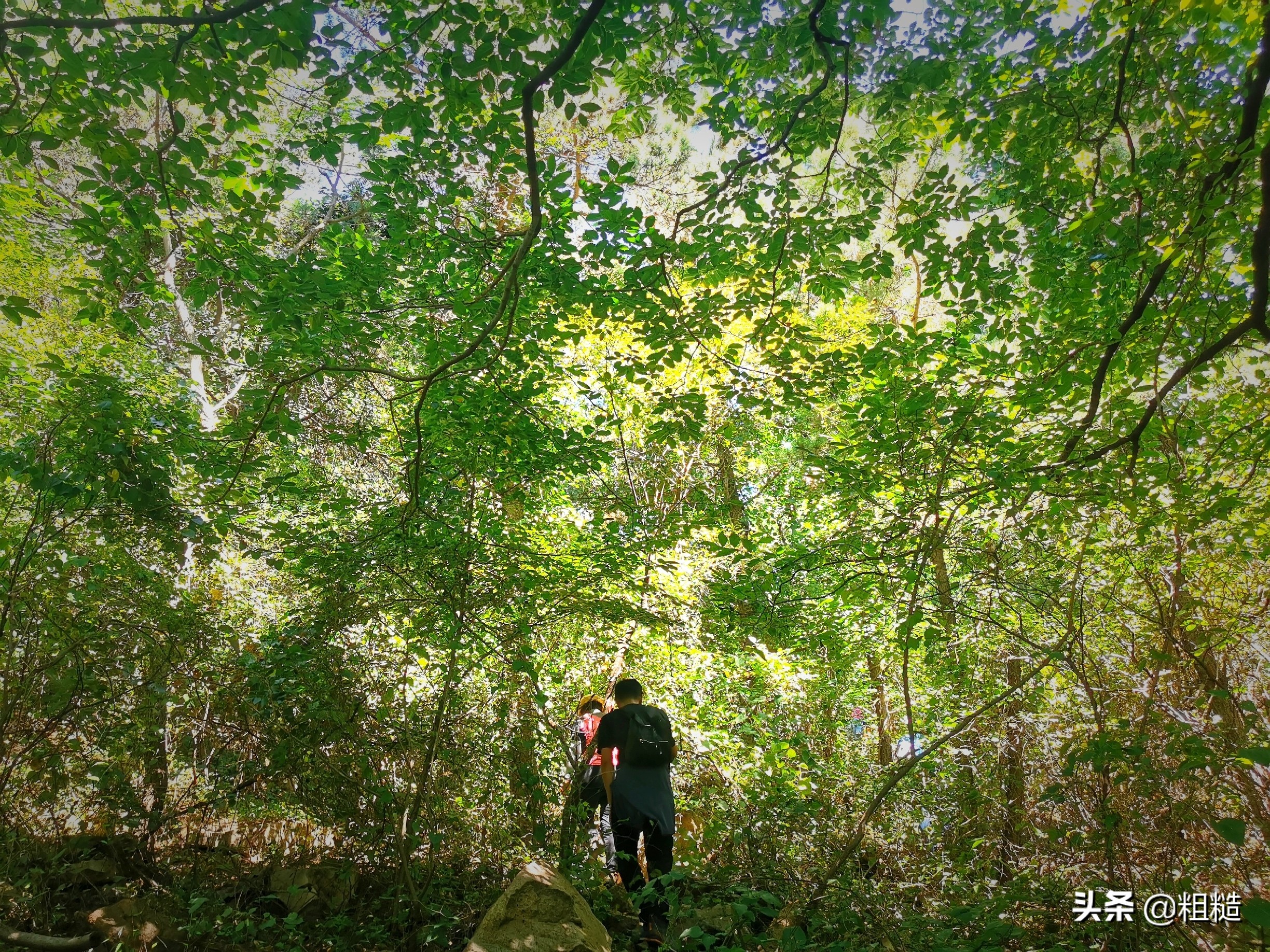 青岛海上第一名山是哪个景区,青岛崂山海上第一名山在哪