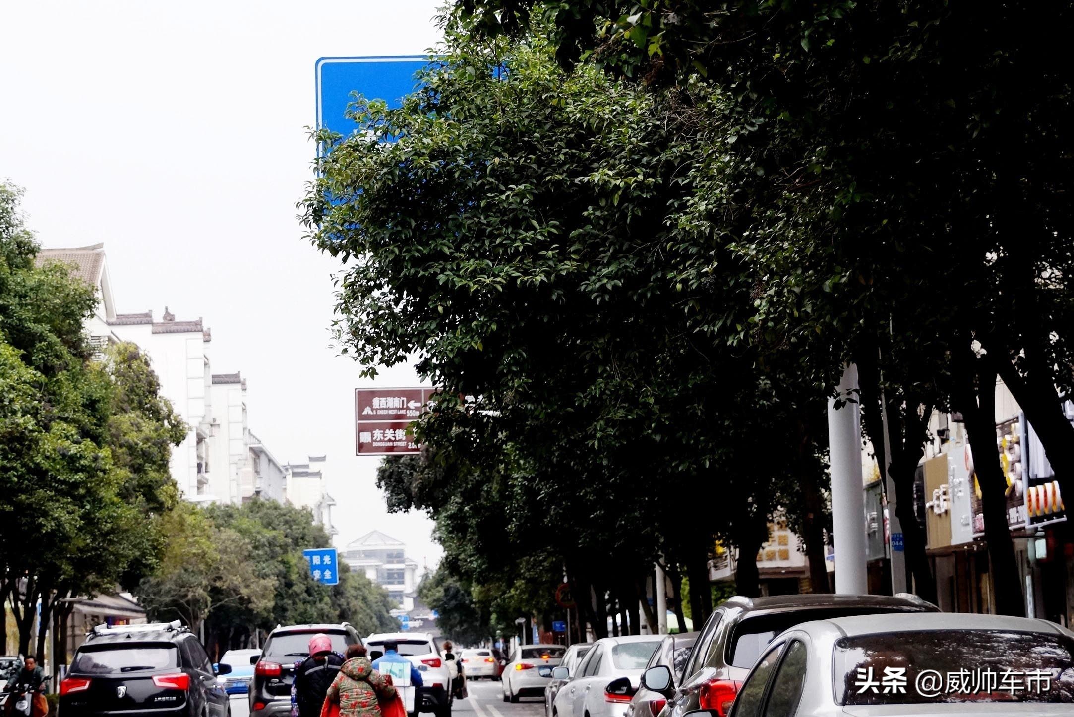 违章后怎么能免除扣分和罚款,收到违章罚单怎么才能免罚