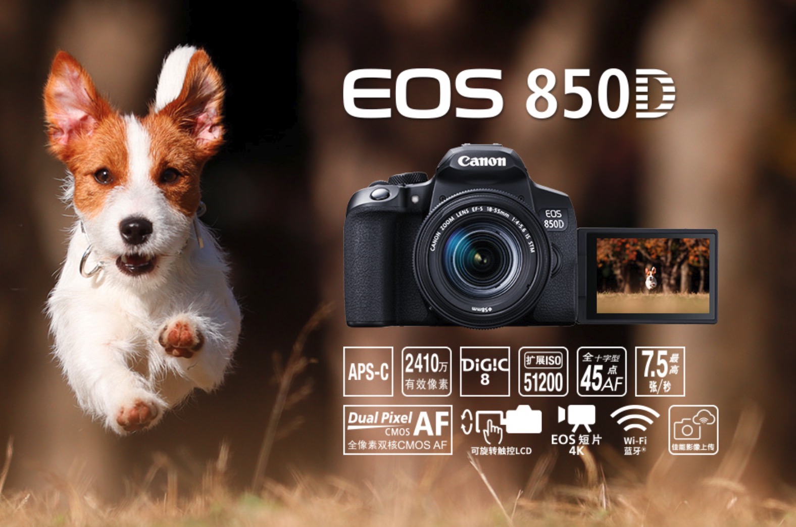 佳能最新款单反850d,佳能850d入门级单反相机展示