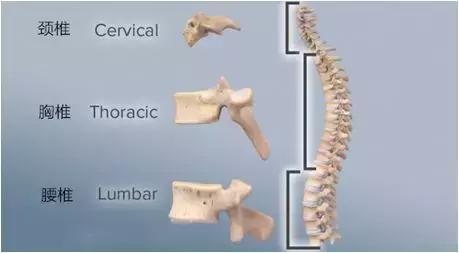 面对颈椎病—如何做个“聪明外行”