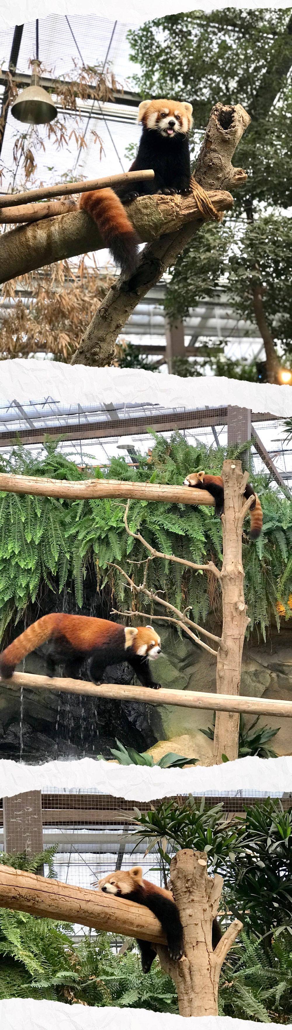 日本名古屋自由行攻略,日本高山自由行攻略