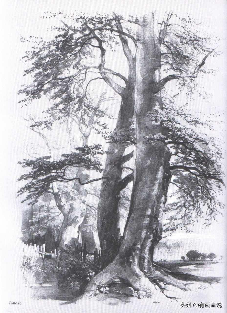 素描临摹高清大图初学,素描教程初学者临摹图